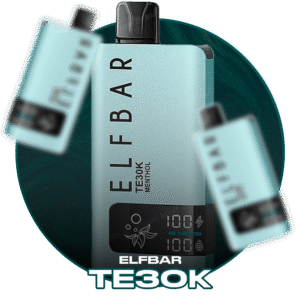 ElfBar TE-30K